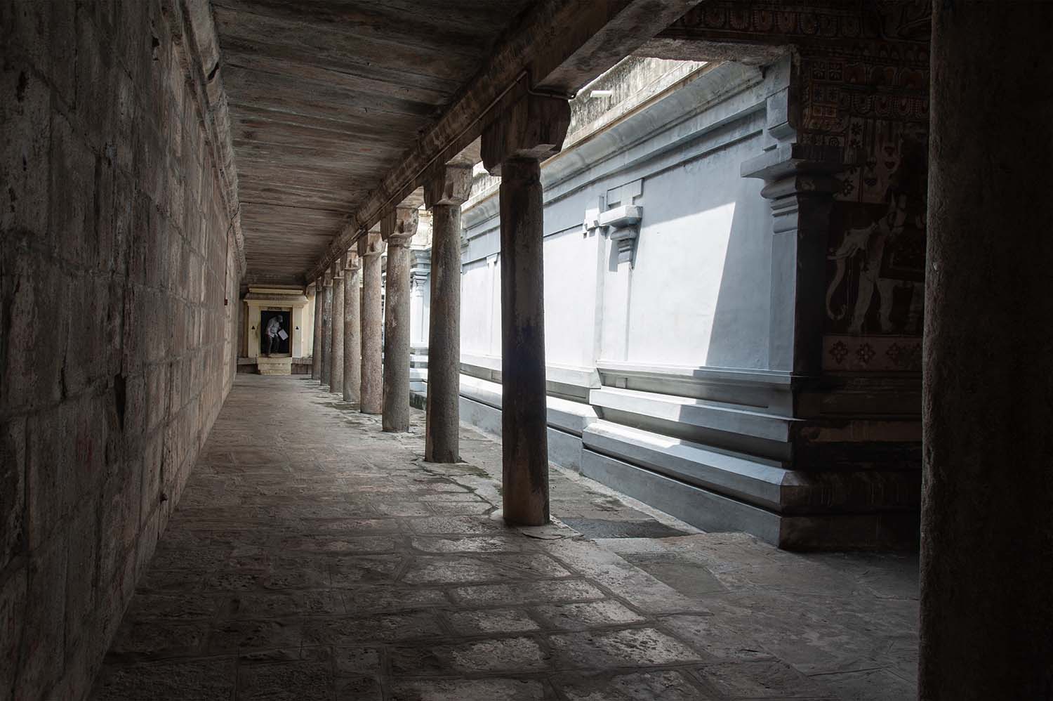 Trilokyanatha Jeenaswamy Temple, Tiruparuthikundram, Kanchipuram, Tamil Nadu