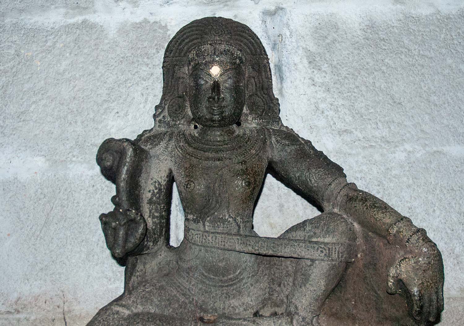 Trilokyanatha Jeenaswamy Temple, Tiruparuthikundram, Kanchipuram, Tamil Nadu