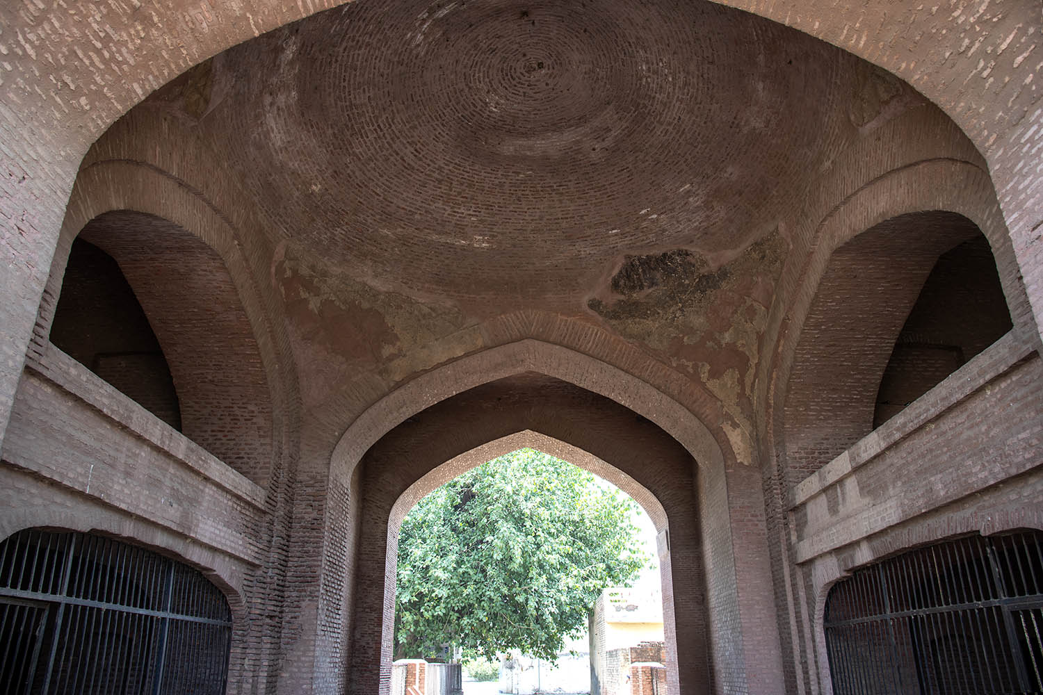 AFCP 2023-25, Sarai Amanat Khan, Punjab