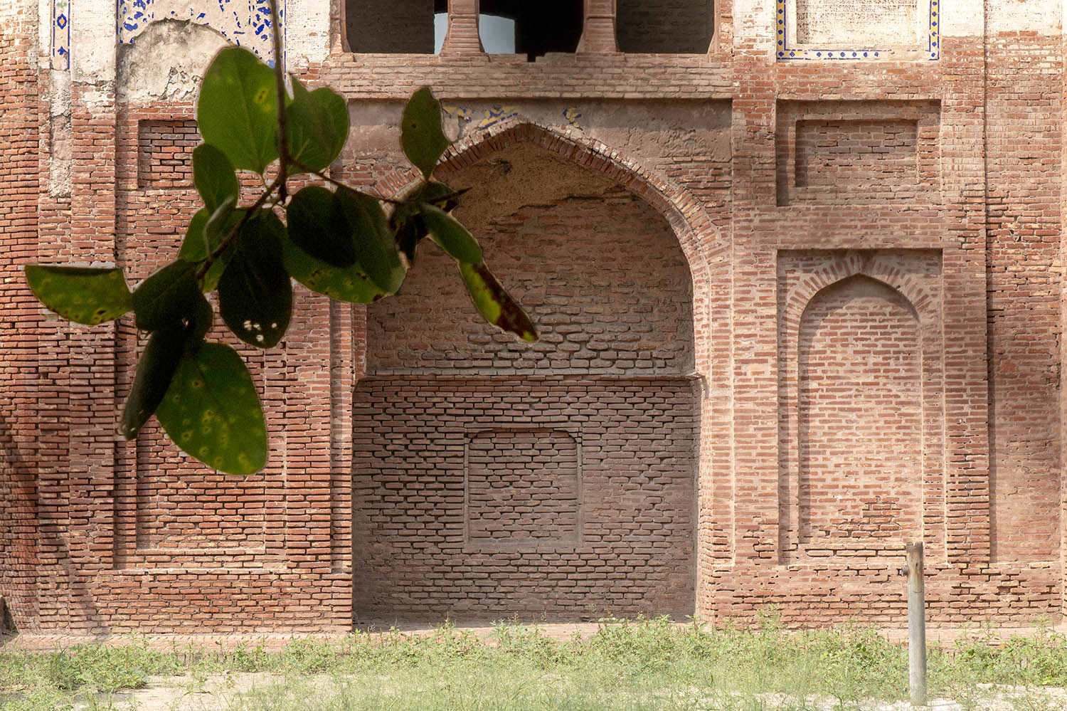 AFCP 2023-25, Sarai Amanat Khan, Punjab