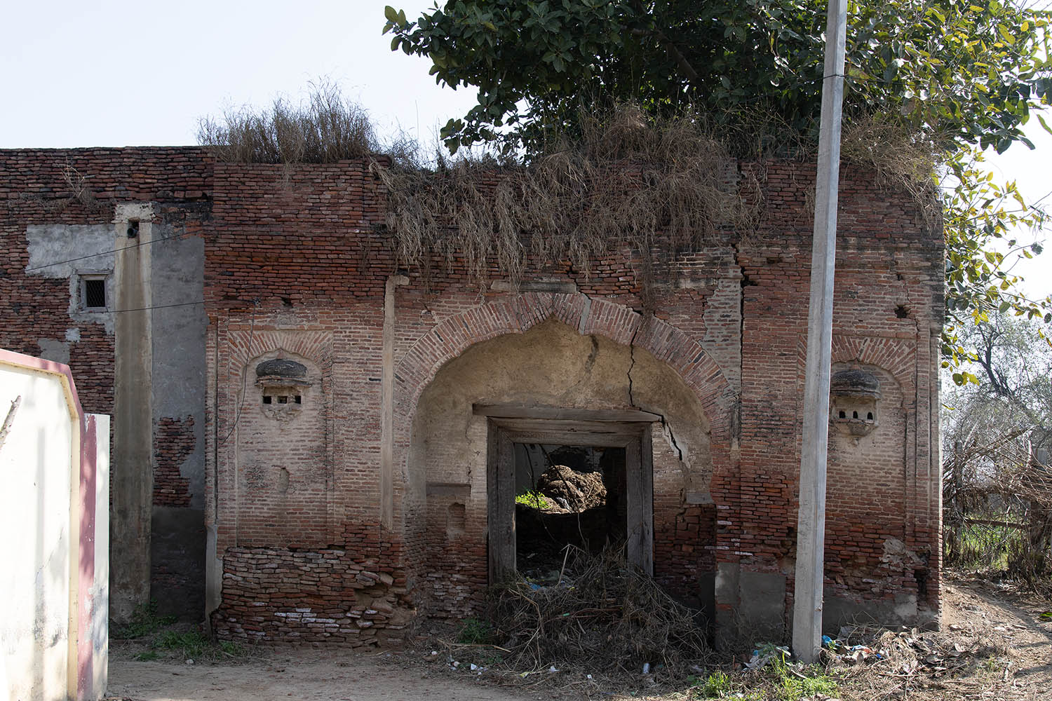 AFCP 2023-25, Sarai Amanat Khan, Punjab