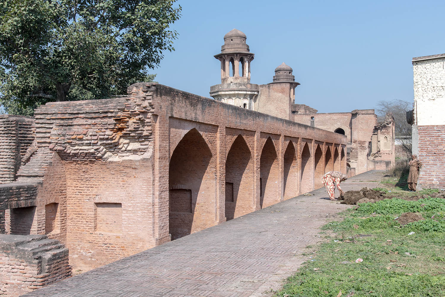 AFCP 2023-25, Sarai Amanat Khan, Punjab