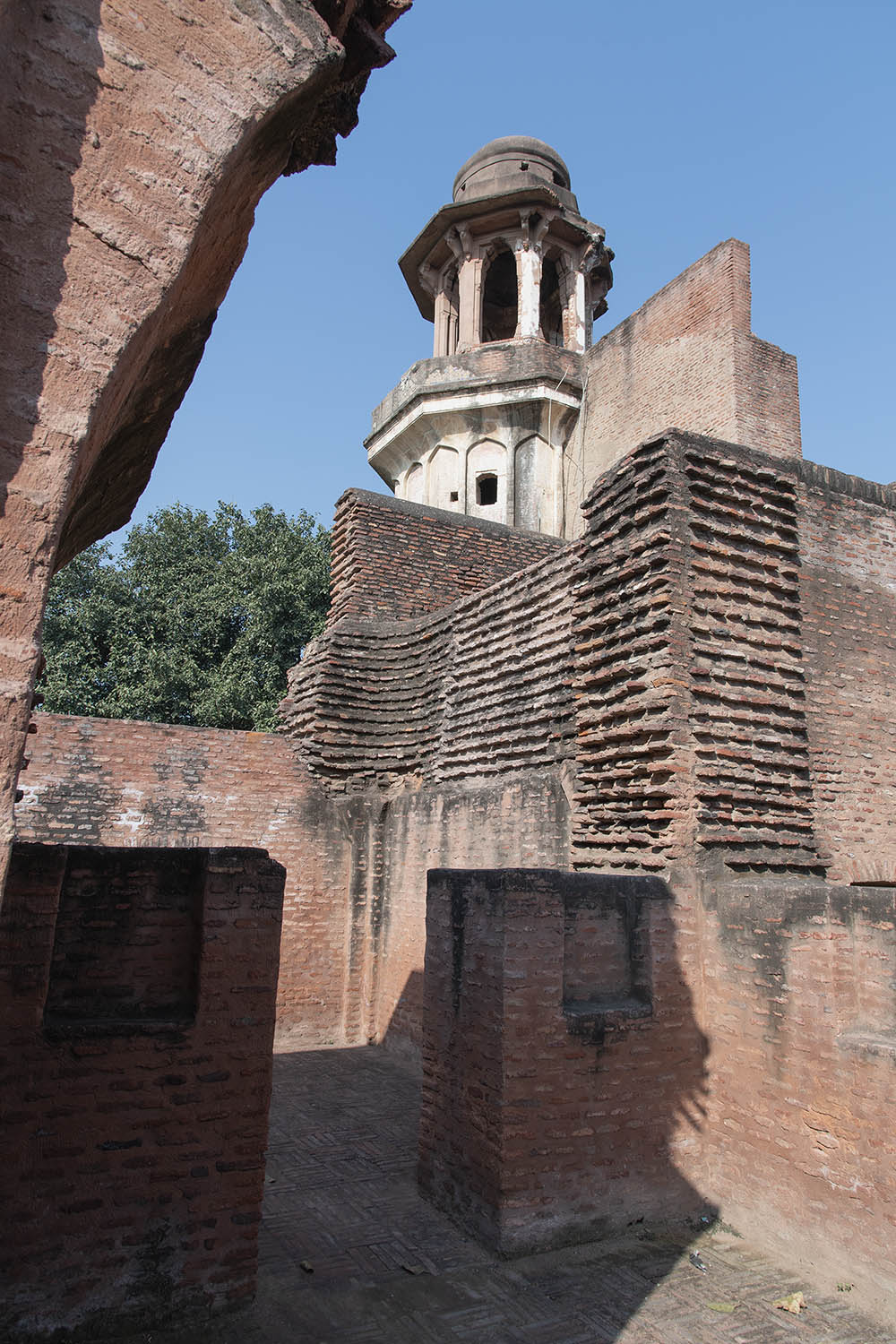 AFCP 2023-25, Sarai Amanat Khan, Punjab