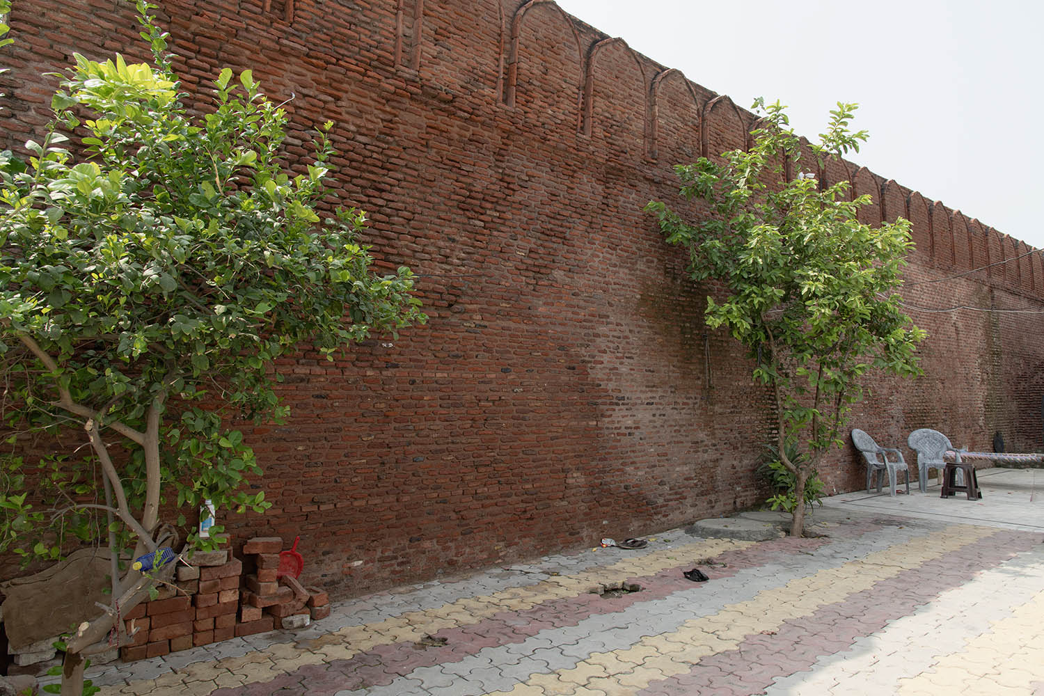AFCP 2023-25, Sarai Amanat Khan, Punjab