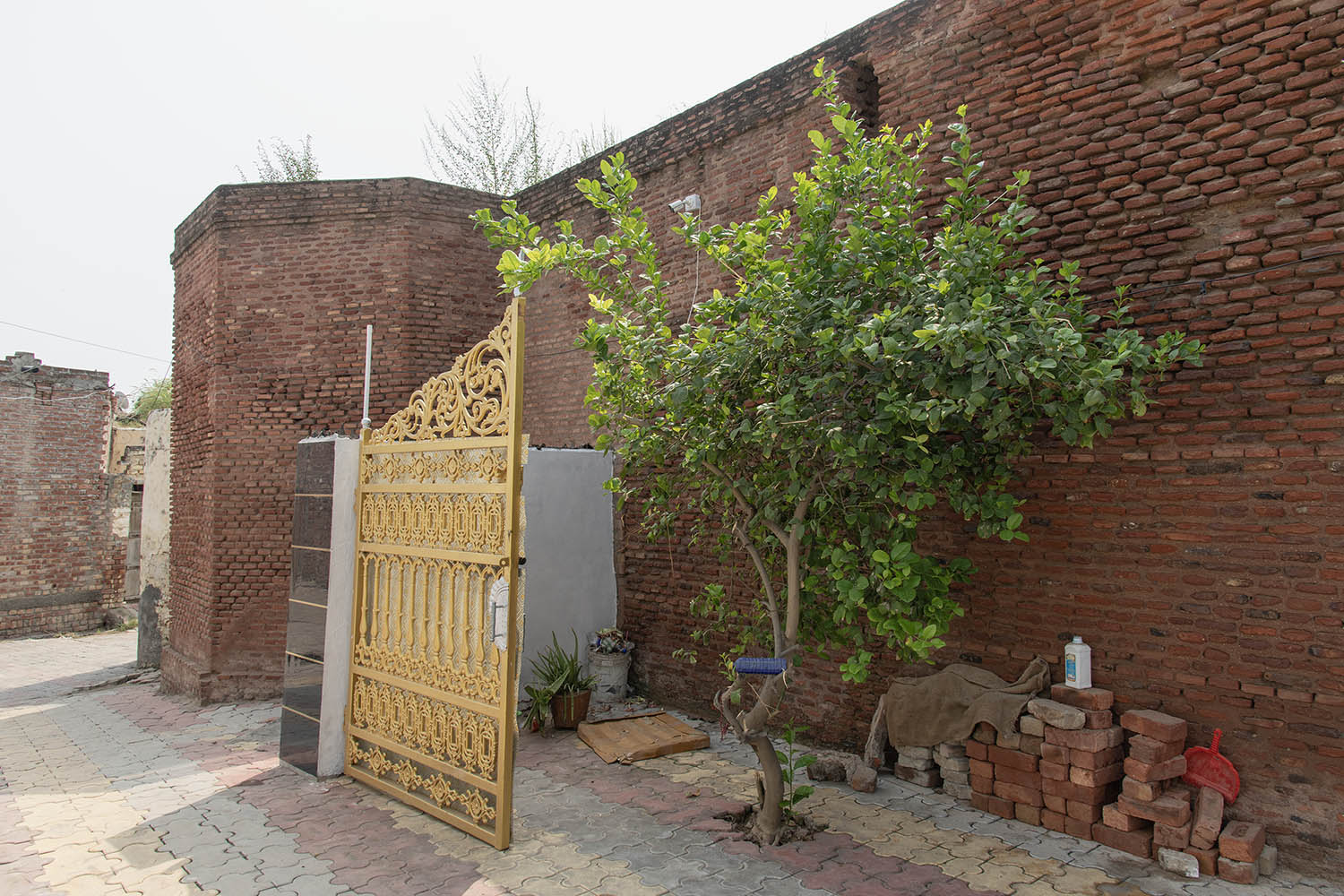 AFCP 2023-25, Sarai Amanat Khan, Punjab