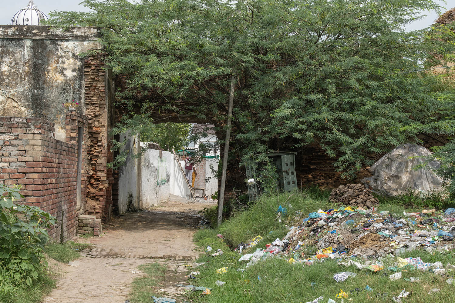 AFCP 2023-25, Sarai Amanat Khan, Punjab