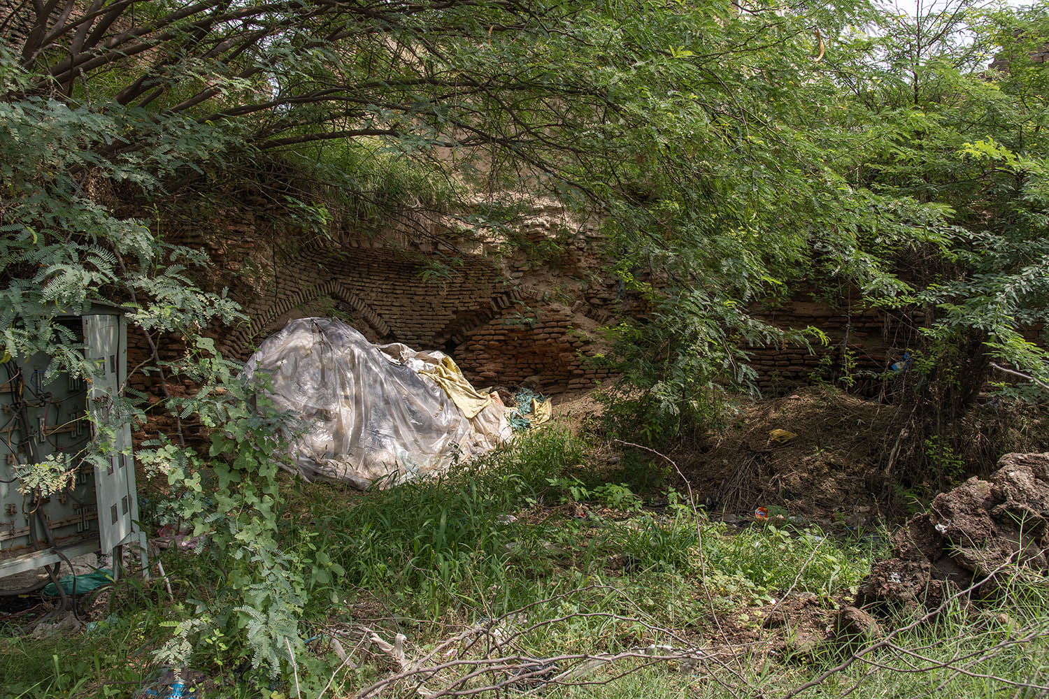AFCP 2023-25, Sarai Amanat Khan, Punjab