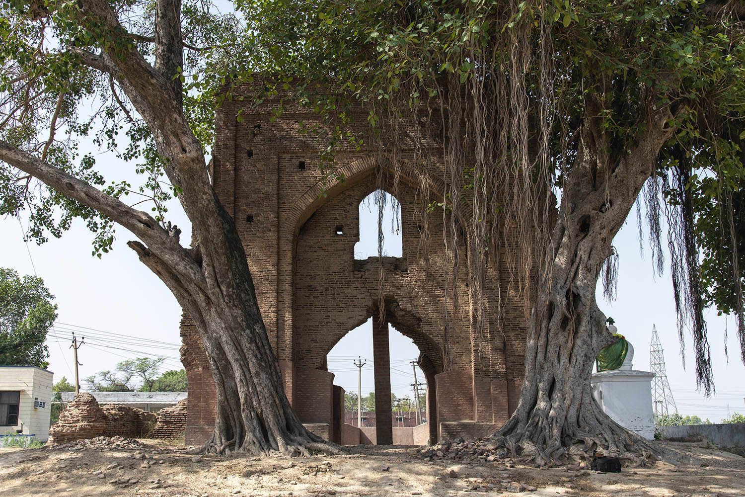 AFCP 2023-25, Baoli near Sarai Amanat Khan, Punjab
