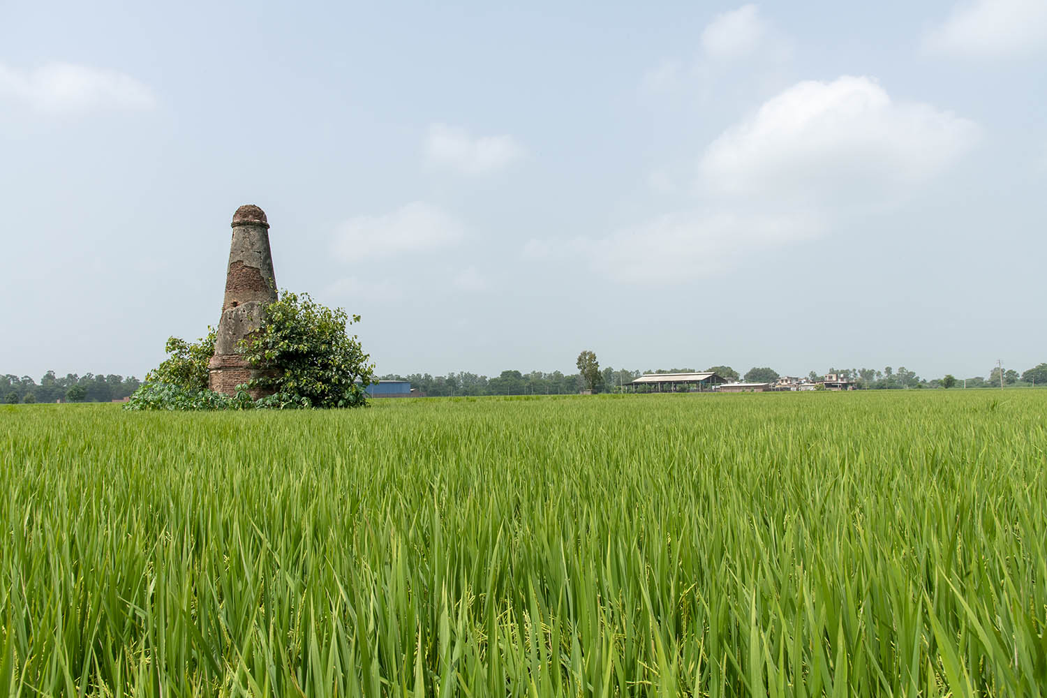 AFCP 2023-25, Kos Minar at Dode, Punjab