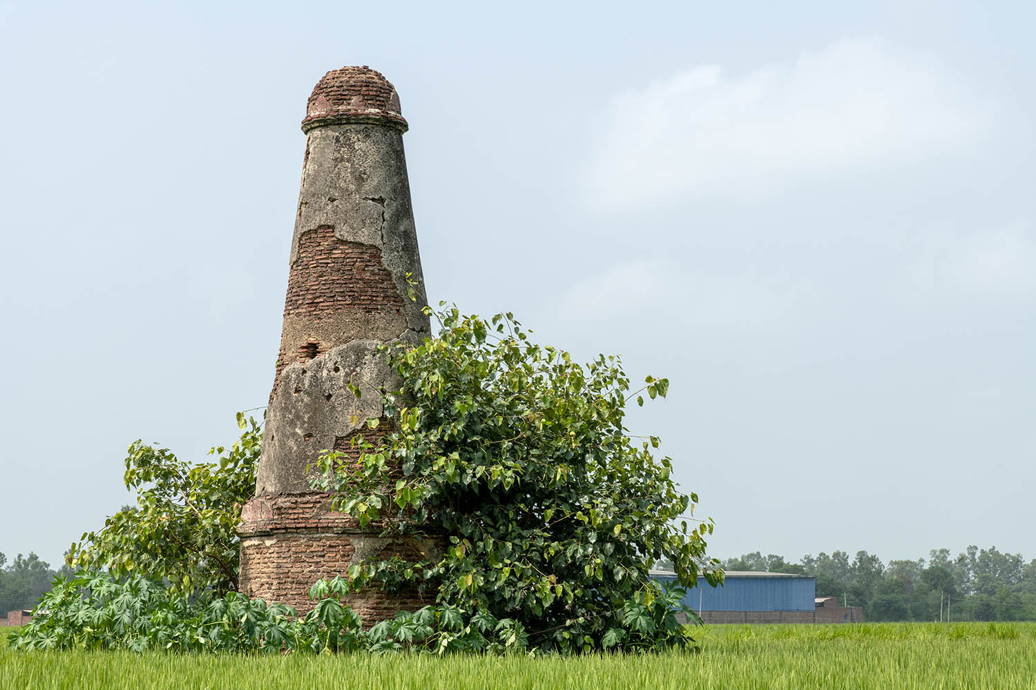 AFCP 2023-25, Kos Minar at Dode, Punjab