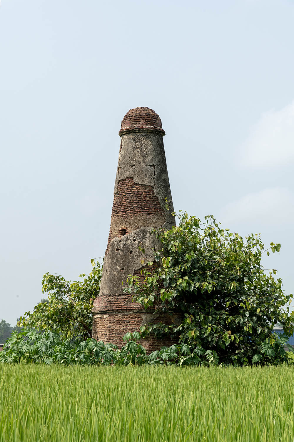 AFCP 2023-25, Kos Minar at Dode, Punjab