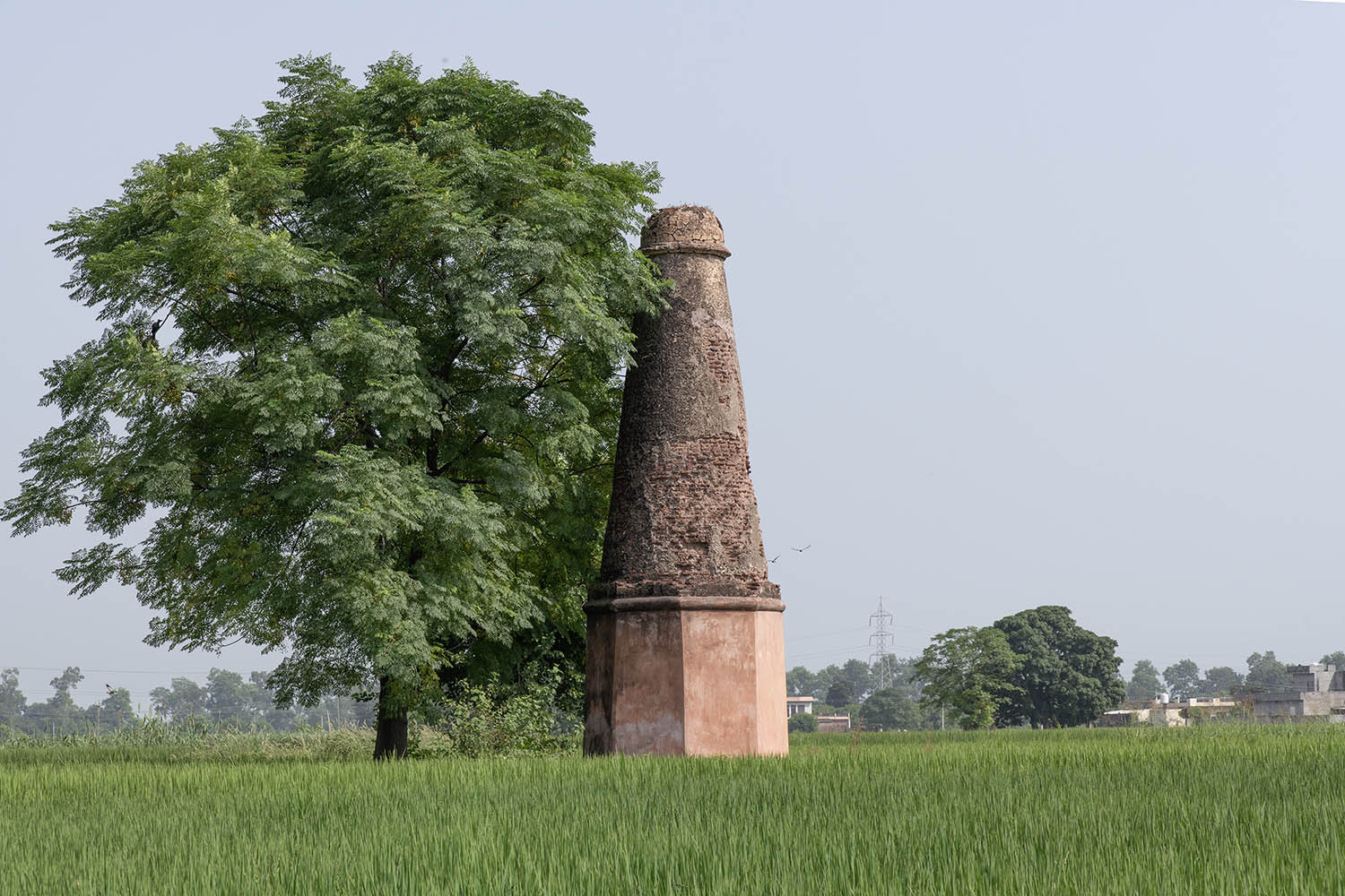 AFCP 2023-25, Kos Minar at Bachre, Punjab
