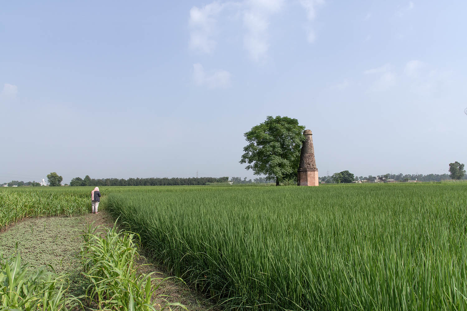 AFCP 2023-25, Kos Minar at Bachre, Punjab
