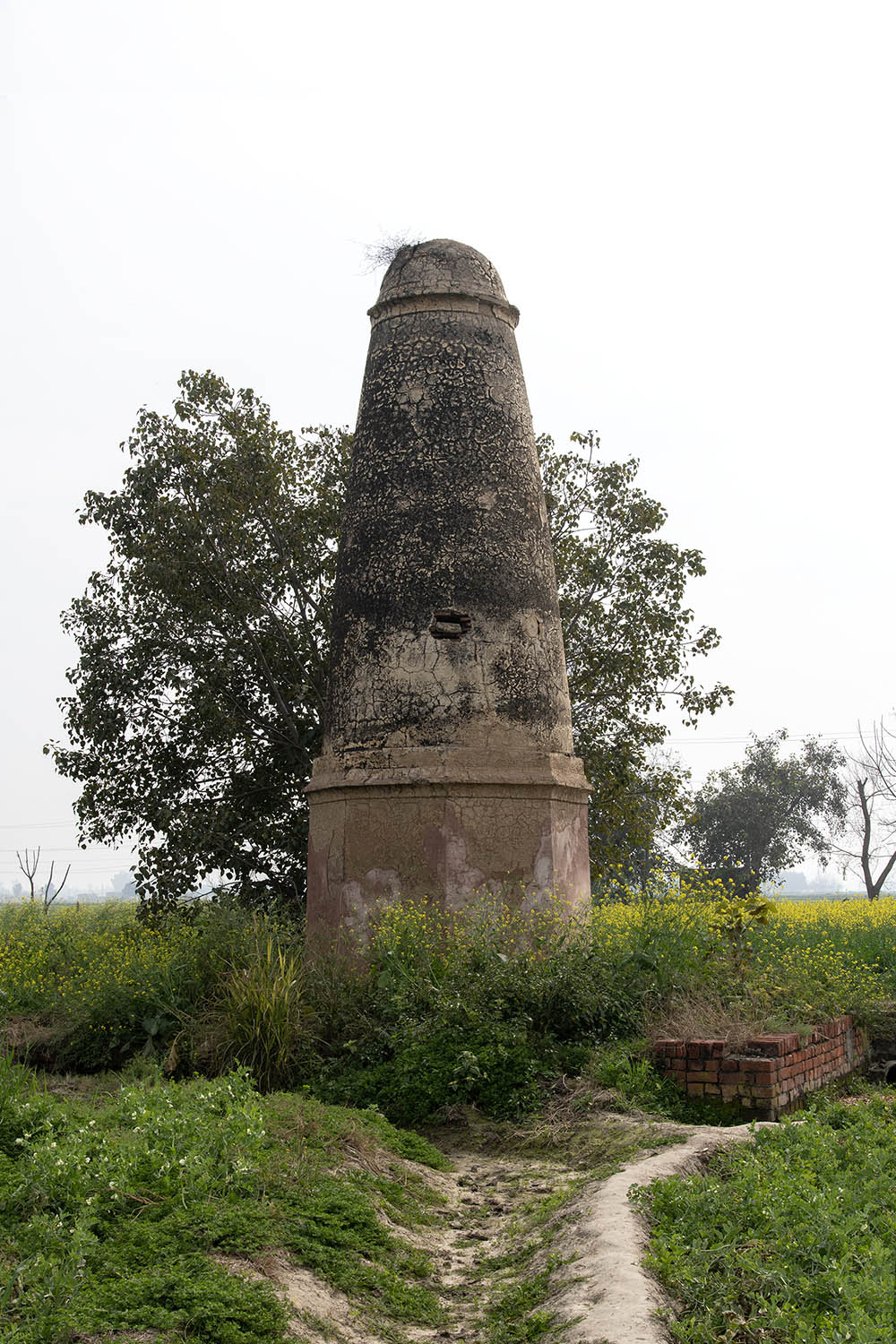 AFCP 2023-25, Kos Minar at Bharowal, Punjab