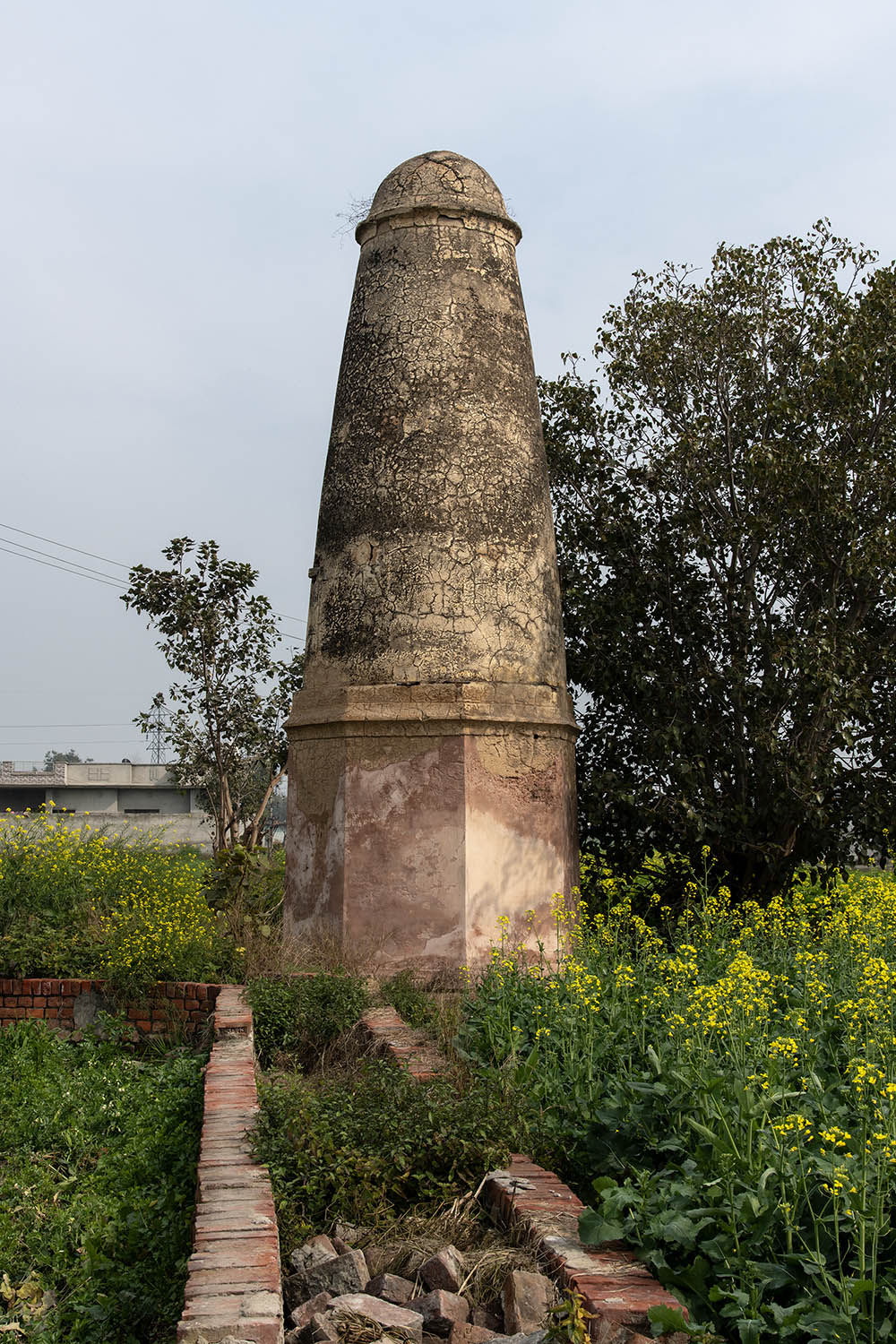 AFCP 2023-25, Kos Minar at Bharowal, Punjab