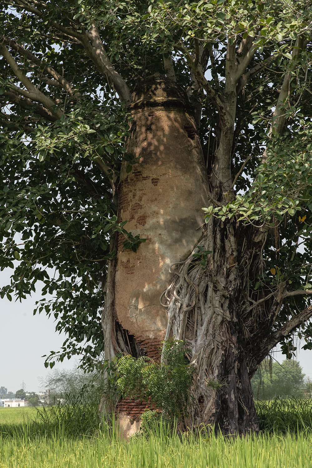 AFCP 2023-25, Kos Minar at Karamjitpur, Punjab