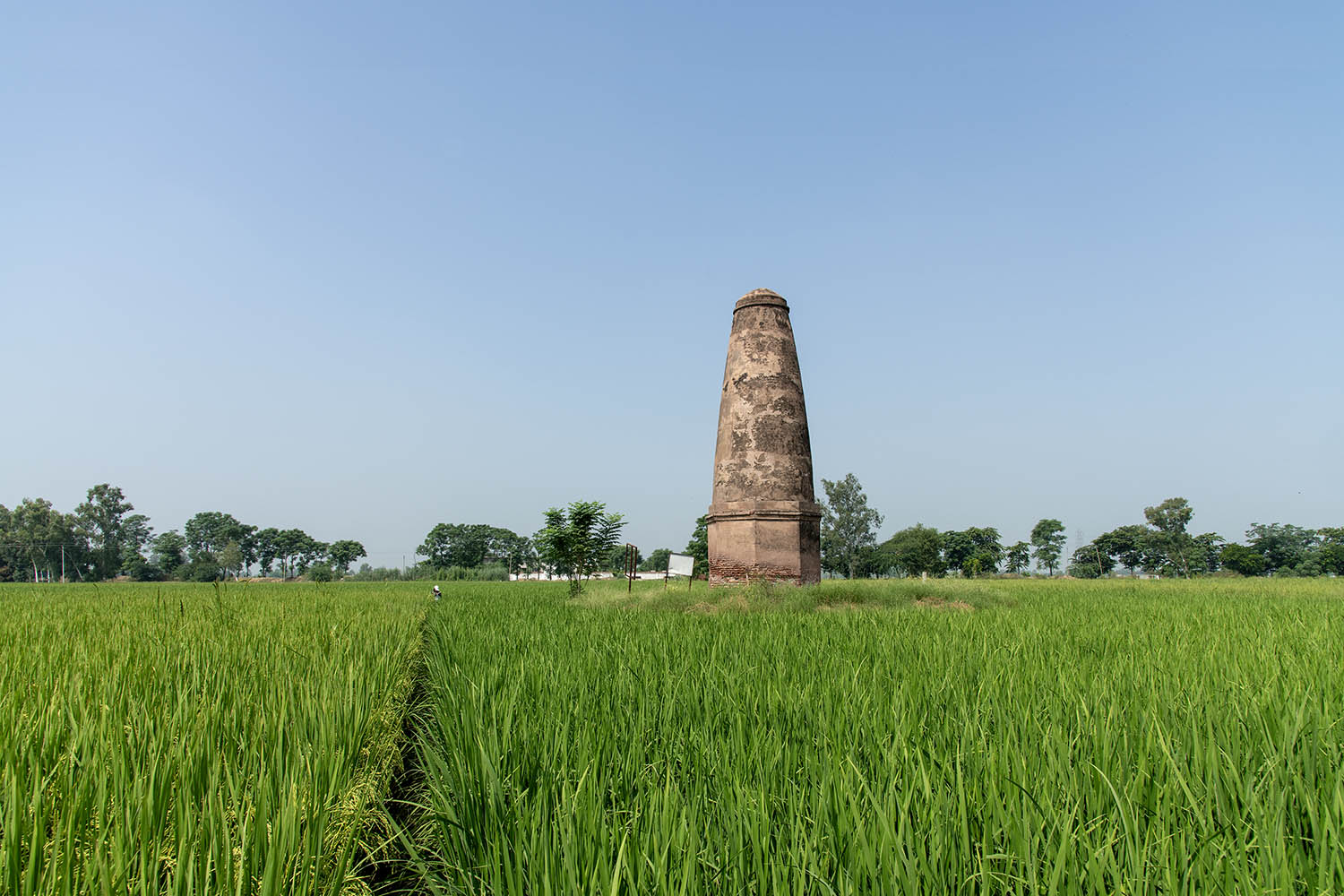 AFCP 2023-25, Kos Minar at Dhadda Khanpur, Punjab