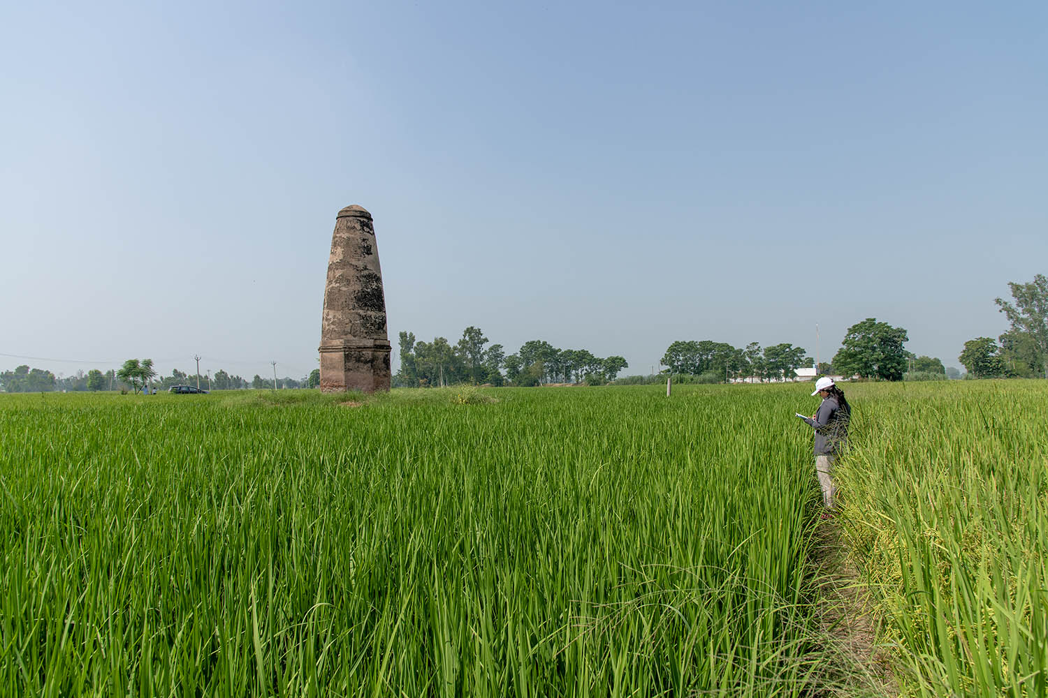 AFCP 2023-25, Kos Minar at Dhadda Khanpur, Punjab