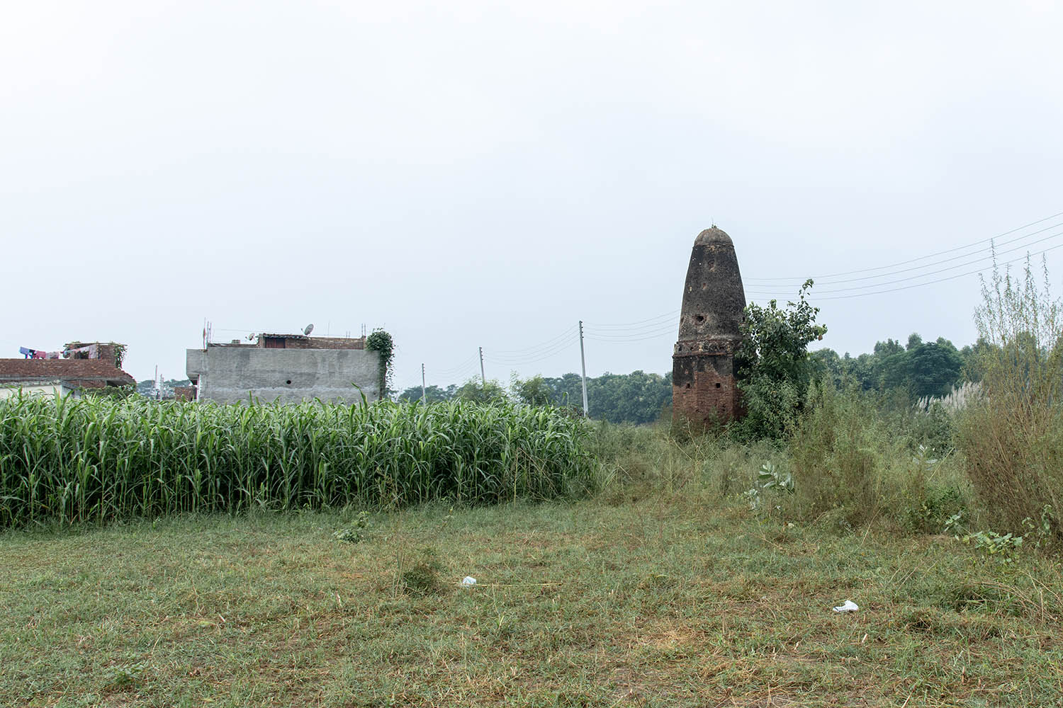 AFCP 2023-25, Kos Minar at Mangli Unchi, Punjab