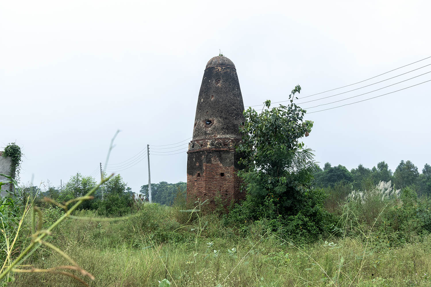 AFCP 2023-25, Kos Minar at Mangli Unchi, Punjab