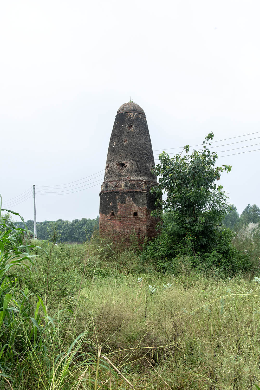 AFCP 2023-25, Kos Minar at Mangli Unchi, Punjab