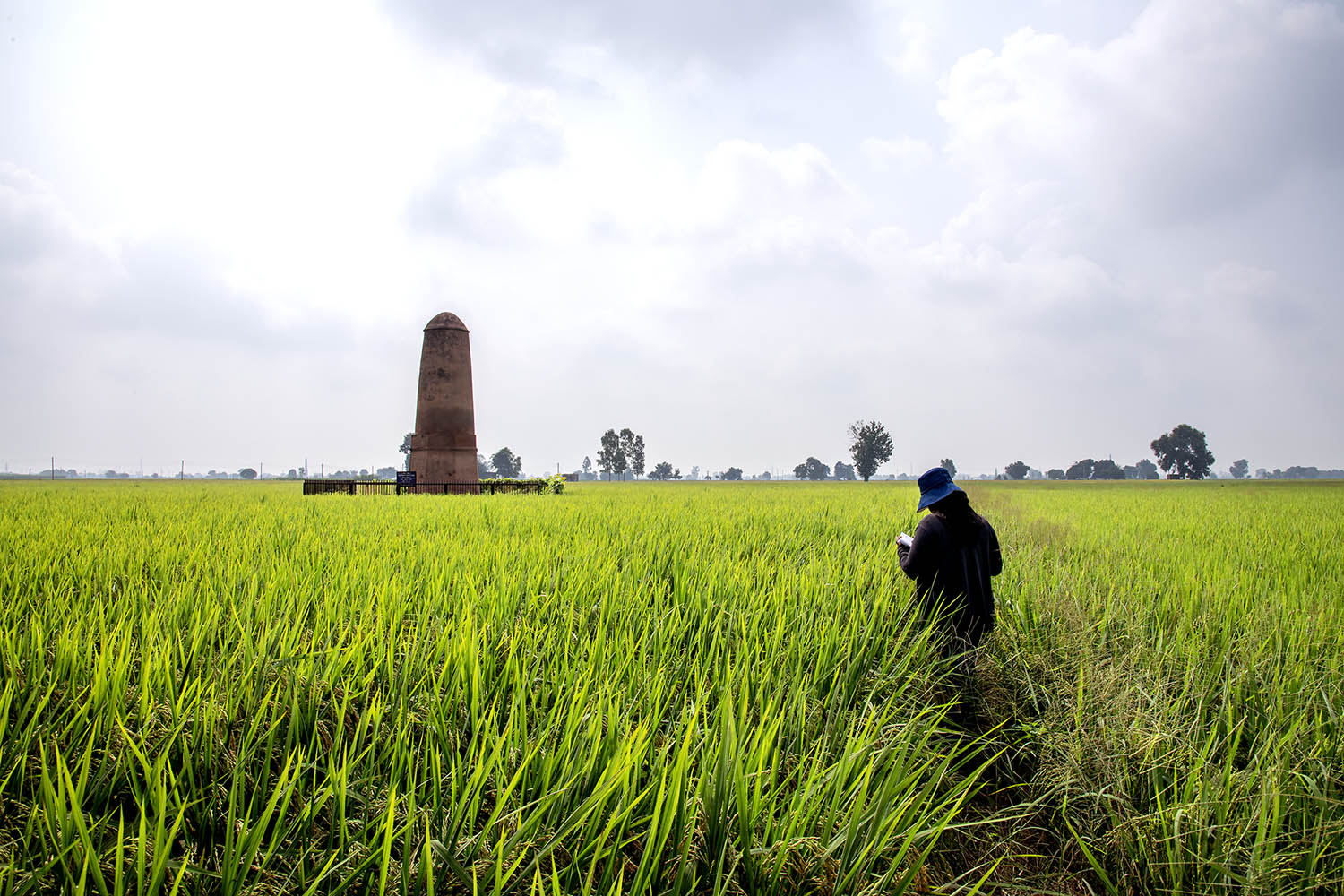 AFCP 2023-25, Kos Minar at Ghungrali, Punjab
