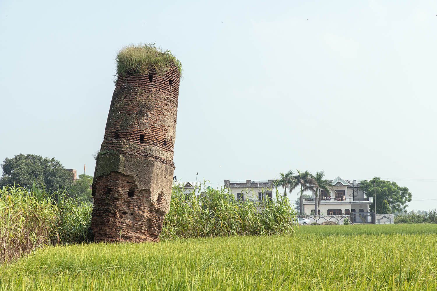 AFCP 2023-25, Kos Minar at Hansali, Punjab