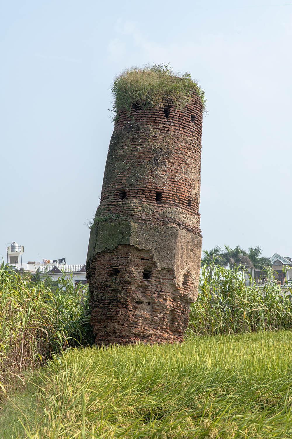 AFCP 2023-25, Kos Minar at Hansali, Punjab