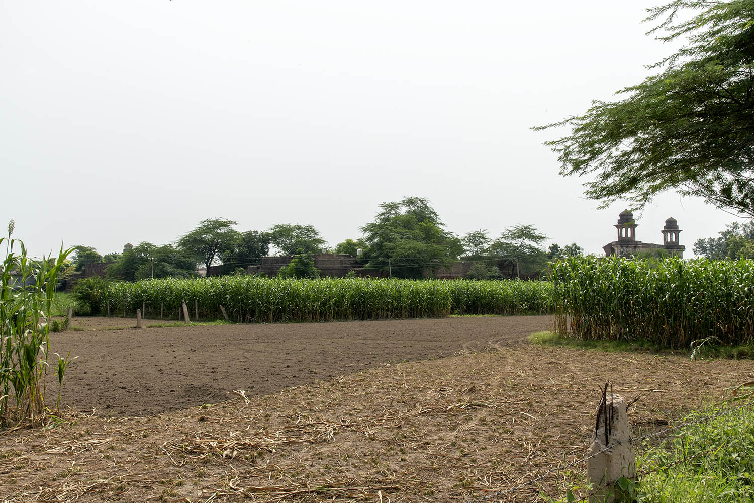 Sarai Amanat Khan, Punjab (AFCP)