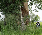 Kos Minar, Karamjitpur, Punjab