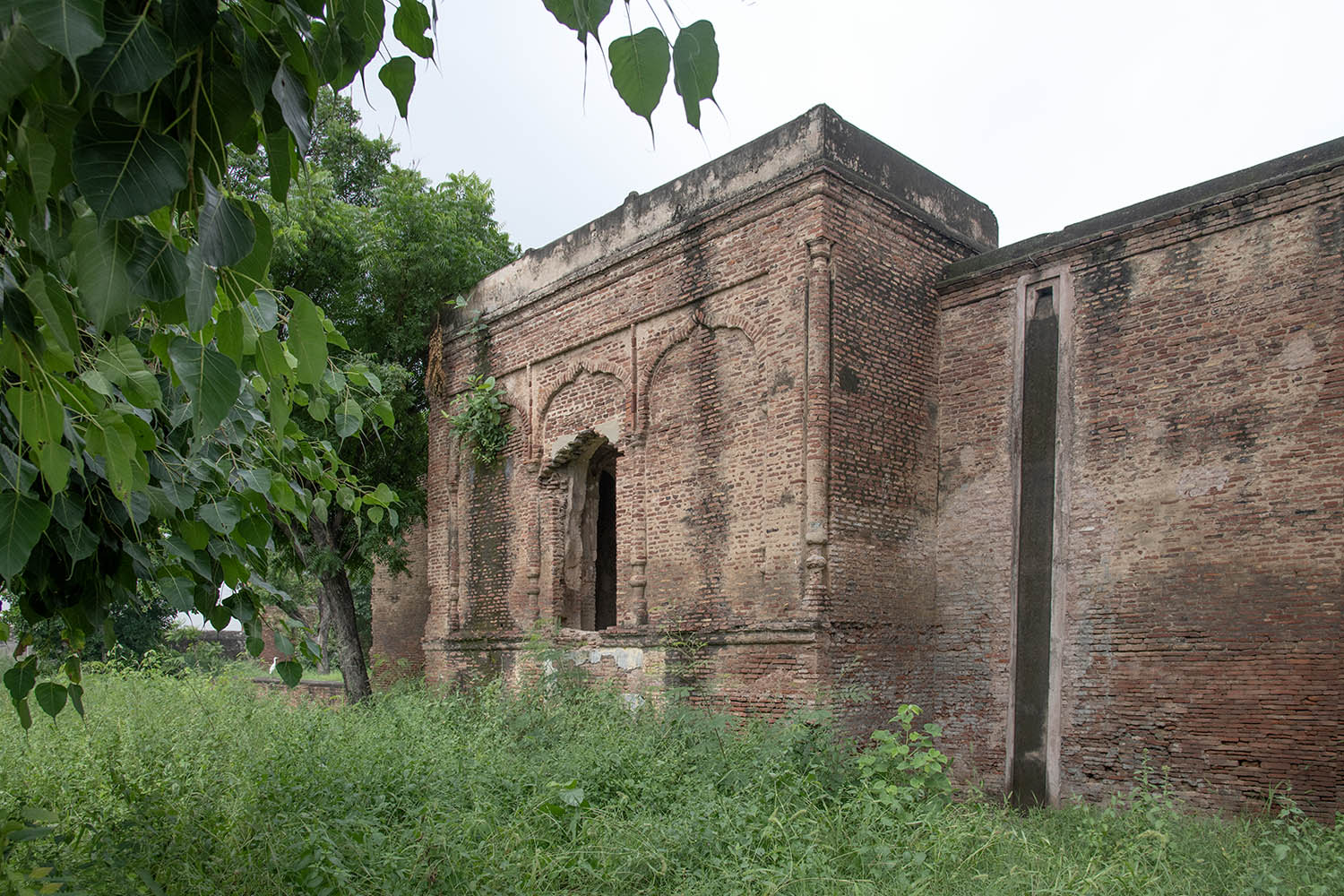 Fort, Payal, Punjab