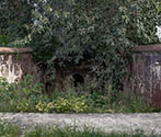 Stepwell, Kanech, Punjab