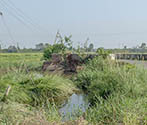 Bridge, Patarasi Kalan, Punjab