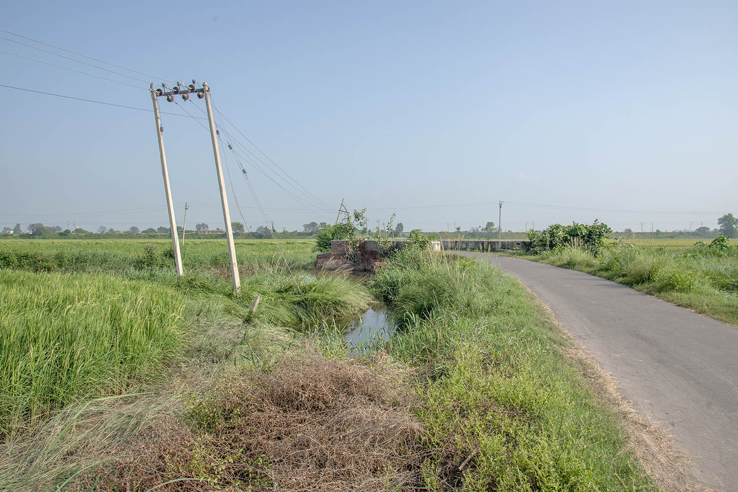 Bridge, Patarasi Kalan, Punjab