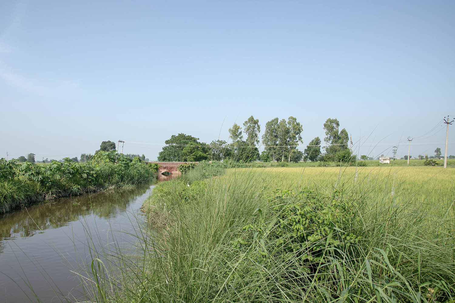Bridge, Patarasi Kalan, Punjab