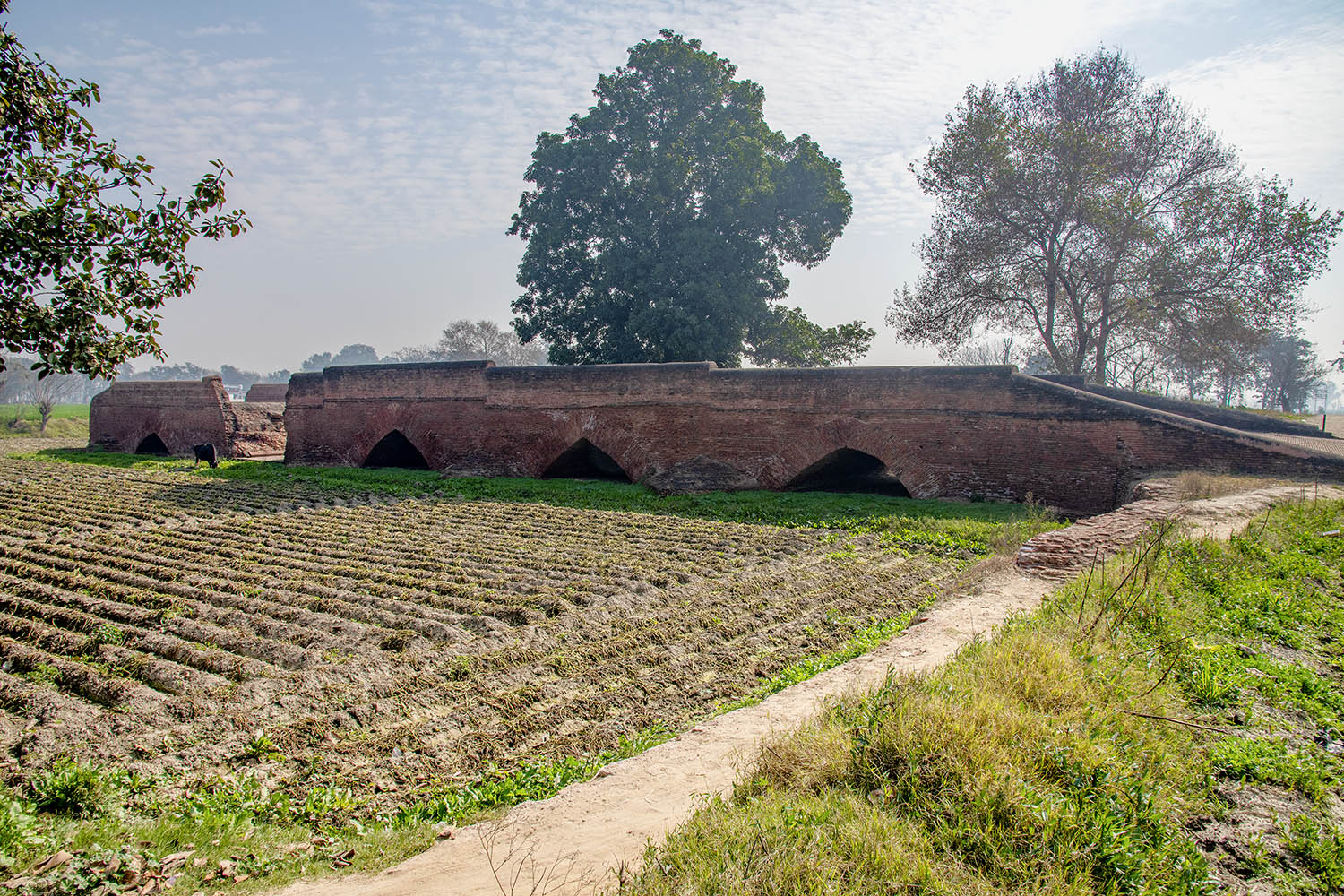 Mughal Bridge & Domed Structure near Sarai Dakhni, Punjab