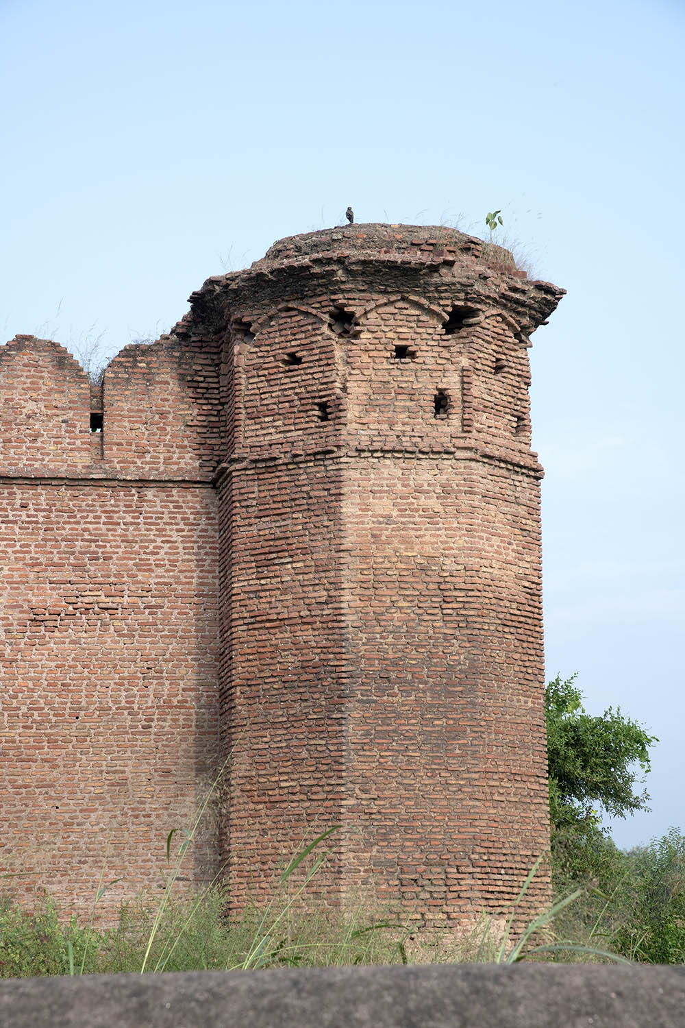 Sarai Lashkar Khan, Kot Panaich, Punjab