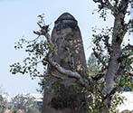 Kos Minar, Sultanpur Lodhi, Punjab