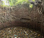 Stepwell near Sarai Doraha, Punjab