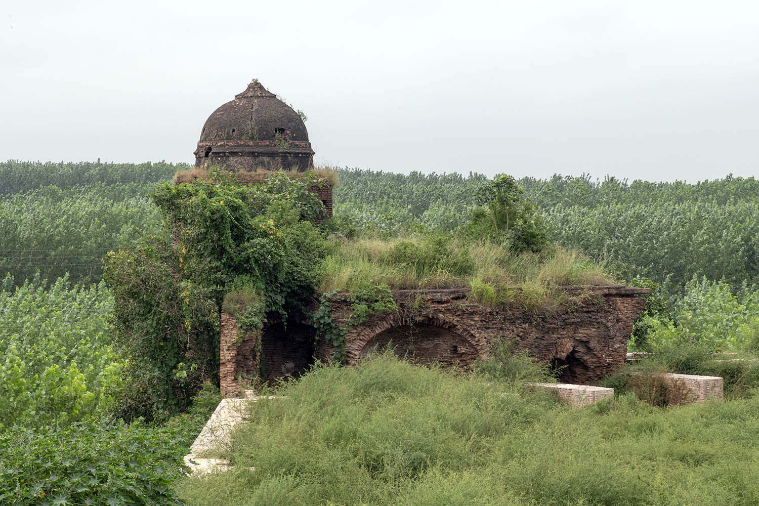 Mughal Sarai, Doraha, Punjab