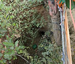 Stepwell, Chharaura, UP