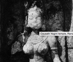 Causath Yogini temple, Ranipur Jharial, Orissa