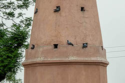 Kos Minar (South), Gharaunda, Haryana