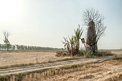 Kos Minar (North), Taraori, Haryana