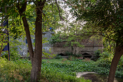 Mughal Bridge, Taraori, Haryana
