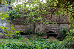 Mughal Bridge, Taraori, Haryana