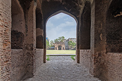 Badli Ki Sarai, Pipthala, Delhi