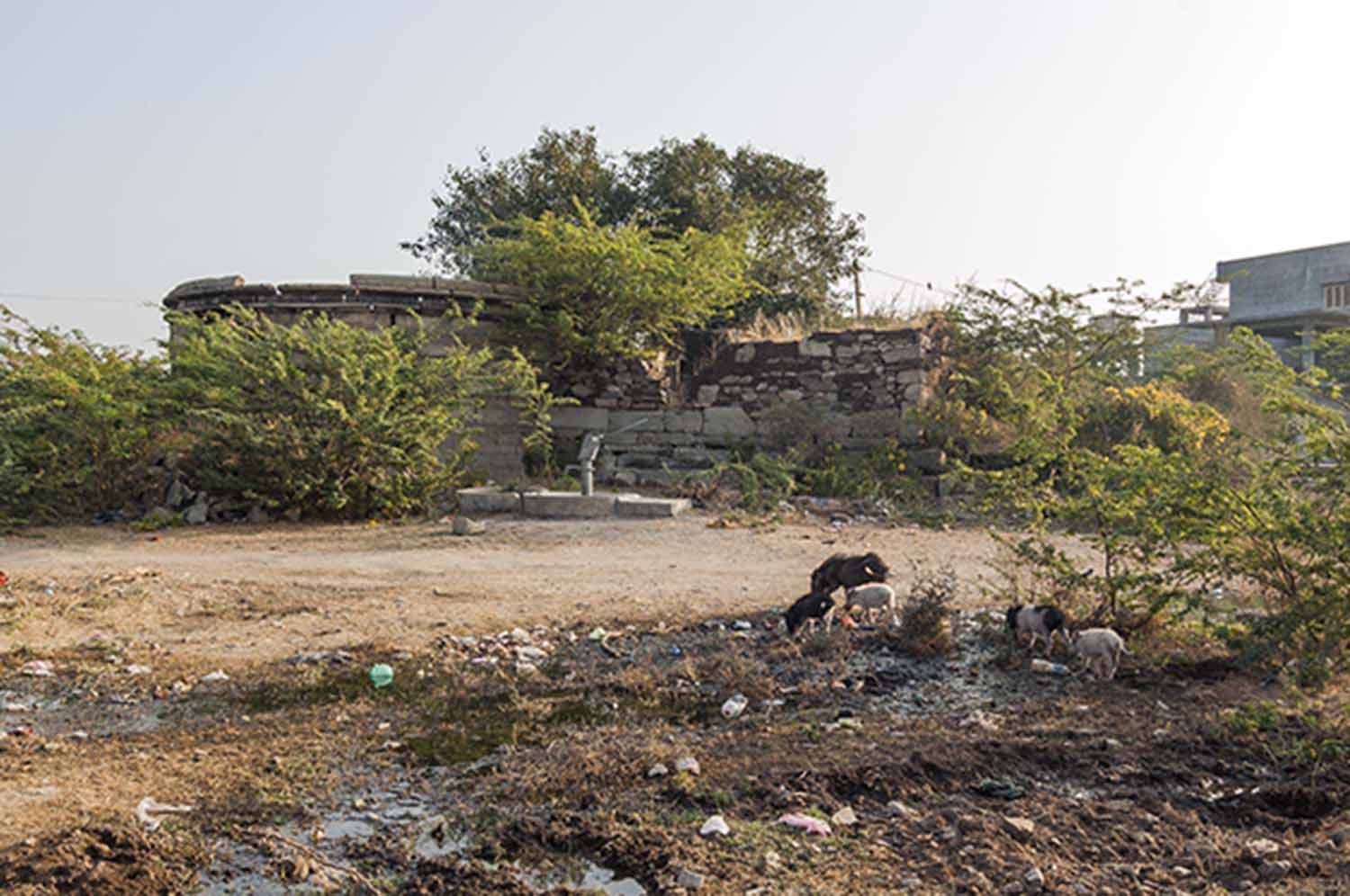 Rani Vav, Nadol, Rajasthan