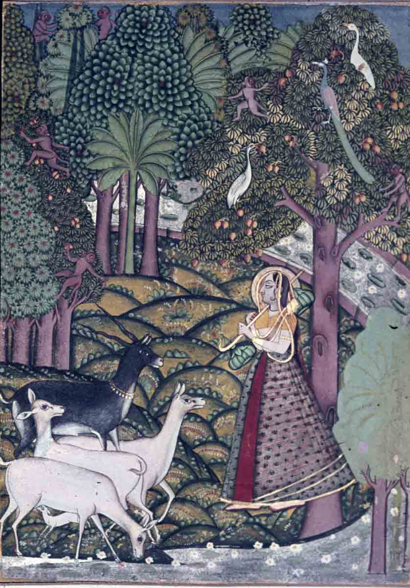 Bharatpur Museum, Rajasthan