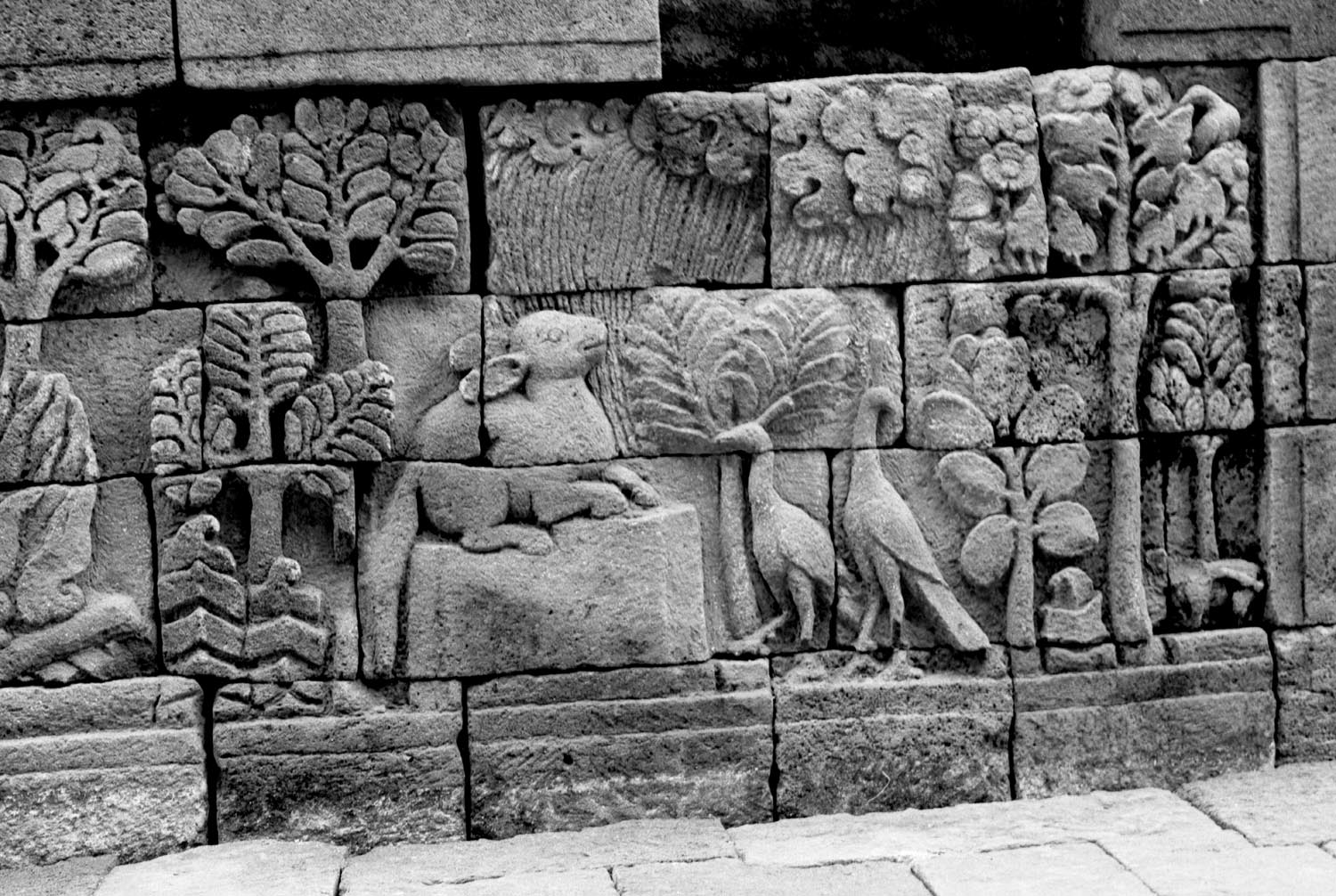 Borobudur, Central Java, Indonesia